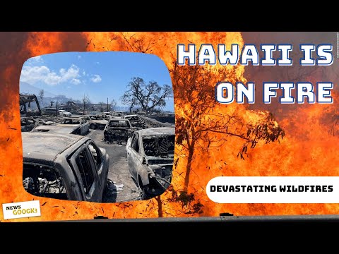 Hawaii is On Fire: Devastating Wildfires Consume Lahaina, Maui