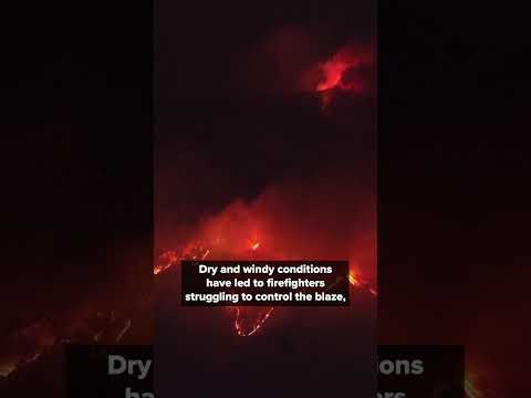 Trump SLAMS Foreign Automakers With 25% Tariff, S. Korean Wildfires, Missing U.S. Soldiers #shorts