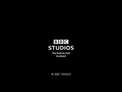 BBC Studios The Science Unit Scotland/BBC Studios (2019)